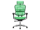 Ergohuman PRO2 EHP2-HAM-5D-DR-BF-GN [�O���[��]