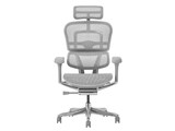 Ergohuman PRO2 EHP2-HAM-5D-DR-GF-WH [�z���C�g]