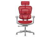 Ergohuman PRO2 EHP2-HAM-5D-DR-GF-RD [���b�h]
