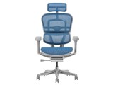 Ergohuman PRO2 EHP2-HAM-5D-DR-GF-BL [�u���[]