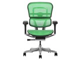 Ergohuman PRO2 EHP2-LAM-5D-DR-BF-GN [�O���[��]