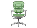 Ergohuman PRO2 EHP2-LAM-5D-DR-GF-GN [�O���[��]