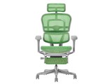 Ergohuman PRO2 Ottoman EHP2-LPL-5D-DR-GF-GN [�O���[��]