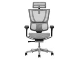 Ergohuman FIT2 FIT2-HAM-5D-DR-BF-WH [�z���C�g]