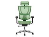 Ergohuman FIT2 FIT2-HAM-5D-DR-BF-GN [�O���[��]