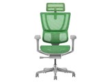 Ergohuman FIT2 FIT2-HAM-5D-DR-GF-GN [�O���[��]