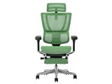 Ergohuman FIT2 Ottoman FIT2-LPL-5D-DR-BF-GN [�O���[��]