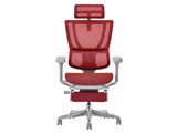 Ergohuman FIT2 Ottoman FIT2-LPL-5D-DR-GF-RD [���b�h]