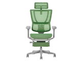 Ergohuman FIT2 Ottoman FIT2-LPL-5D-DR-GF-GN [�O���[��]