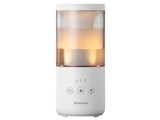 MIST Mini 2 9YY030RH08 [���C�g�O���[]