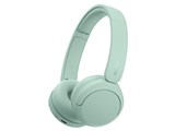 WH-CH530 (G) [�~���g]