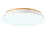 TAIRA ACE-175WH [�z���C�g]