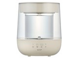 GLASS QS629-IV [�A�C�{���[]