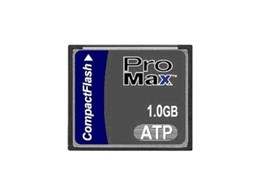 ProMax CF 1.0 GB (1GB)