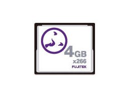 CF4GB266SM (4GB)