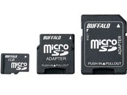 RMSD-BS1GA (1GB)