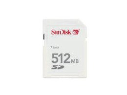 SDSDG-512-J60 (512MB)