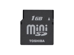 MSD-N001GT (1GB)