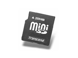 TS256MSDM (256MB)