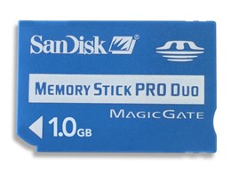SDMSPD-1024-J60 (1GB)