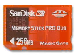 SDMSG-256-J17 (256MB)