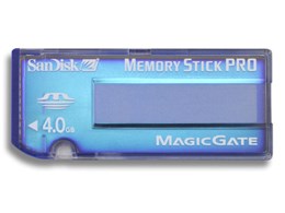 SDMSV-4096-J60 (4GB)