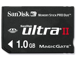 SDMSPDH-1024-903 (1GB)