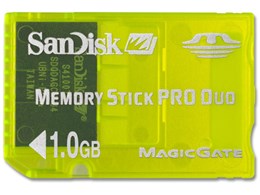 SDMSG-1024-J10 (1GB)