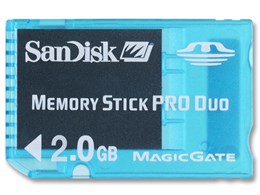 SDMSG-2048-J10 (2GB)