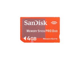 SDMSG-4096-J60 (4GB)