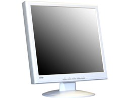 CG-L19DSW [19�C���`]