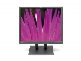 ThinkVision L191p 9419HB7 [19C`]