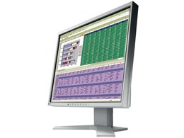 FlexScan S1961-GY [19C`]