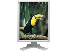 ColorEdge CG211-GY [21.3C`]