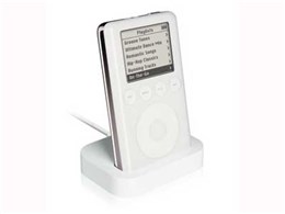 iPod M9245J/A (40GB)
