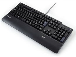 ThinkPlus vt@[hEvUSBwF؃L[{[h 73P4748