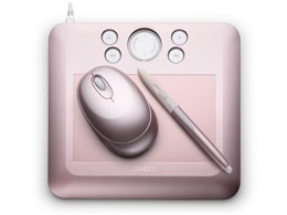 Bamboo Fun CTE-450/P0 (�s���N)