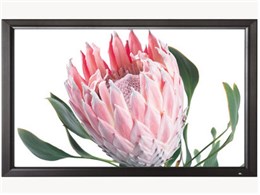 PA-H120 [120C` zCgWG148]