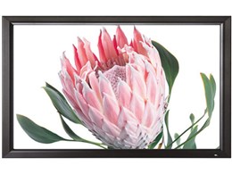 PA-120H01 [120C` zCgWG148]