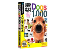 �����f�� Dogs1000 �X�����p�b�P�[�W��
