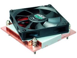 Tenuis S1N-83CCS-06-GP