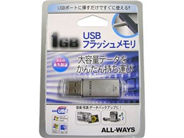 ASUSB-1GA (1GB �V���o�[)