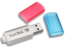 Cruzer Micro Skins SDCZ4-512-J65B (512MB)
