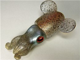 ݂݂USB[(xRY) IMMM]512 (512MB)