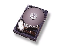 IC35L060AVV207-0/40GB (40G U100 7200)