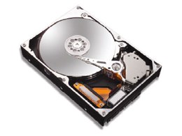 7L300S0 (300G SATAII 7200)