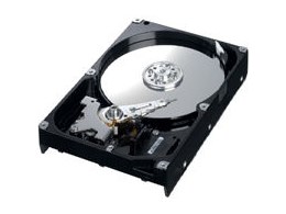 HD250HJ (250GB SATA300 7200)