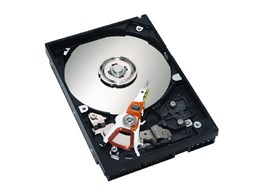 ST320014A (20GB U100 5400)