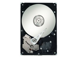 ST3500630NS (500G SATA300 7200)