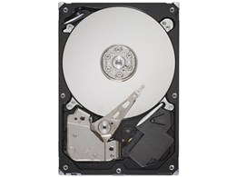 ST3160813AS (160GB SATA300 7200)